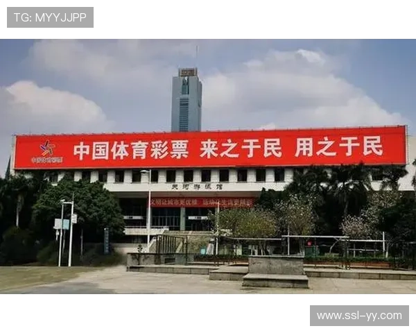 行业共建体育数字资产交易机制，规范市场秩序